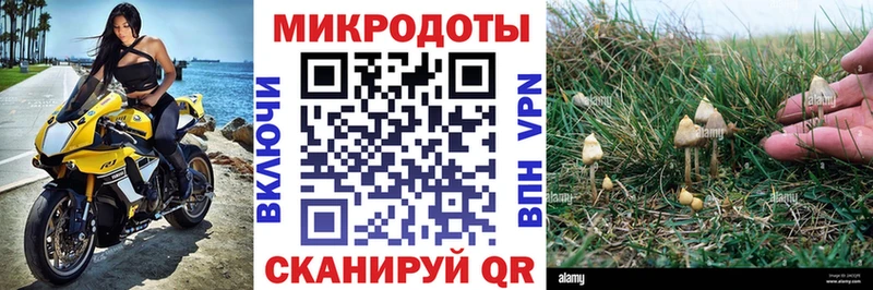 Галлюциногенные грибы мухоморы  Тбилисская 